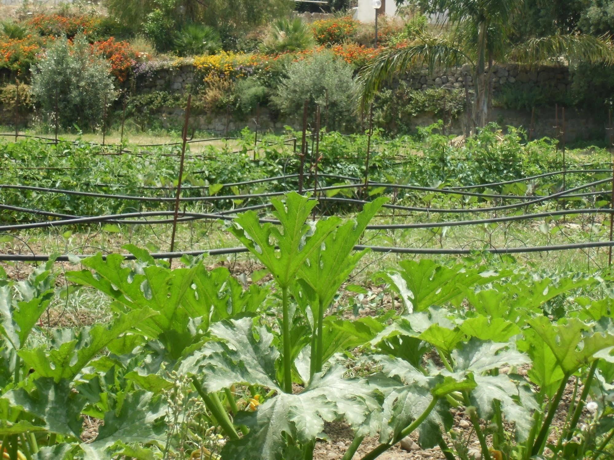 Stella Di Sicilia Villa San Fratello Ngoại thất bức ảnh