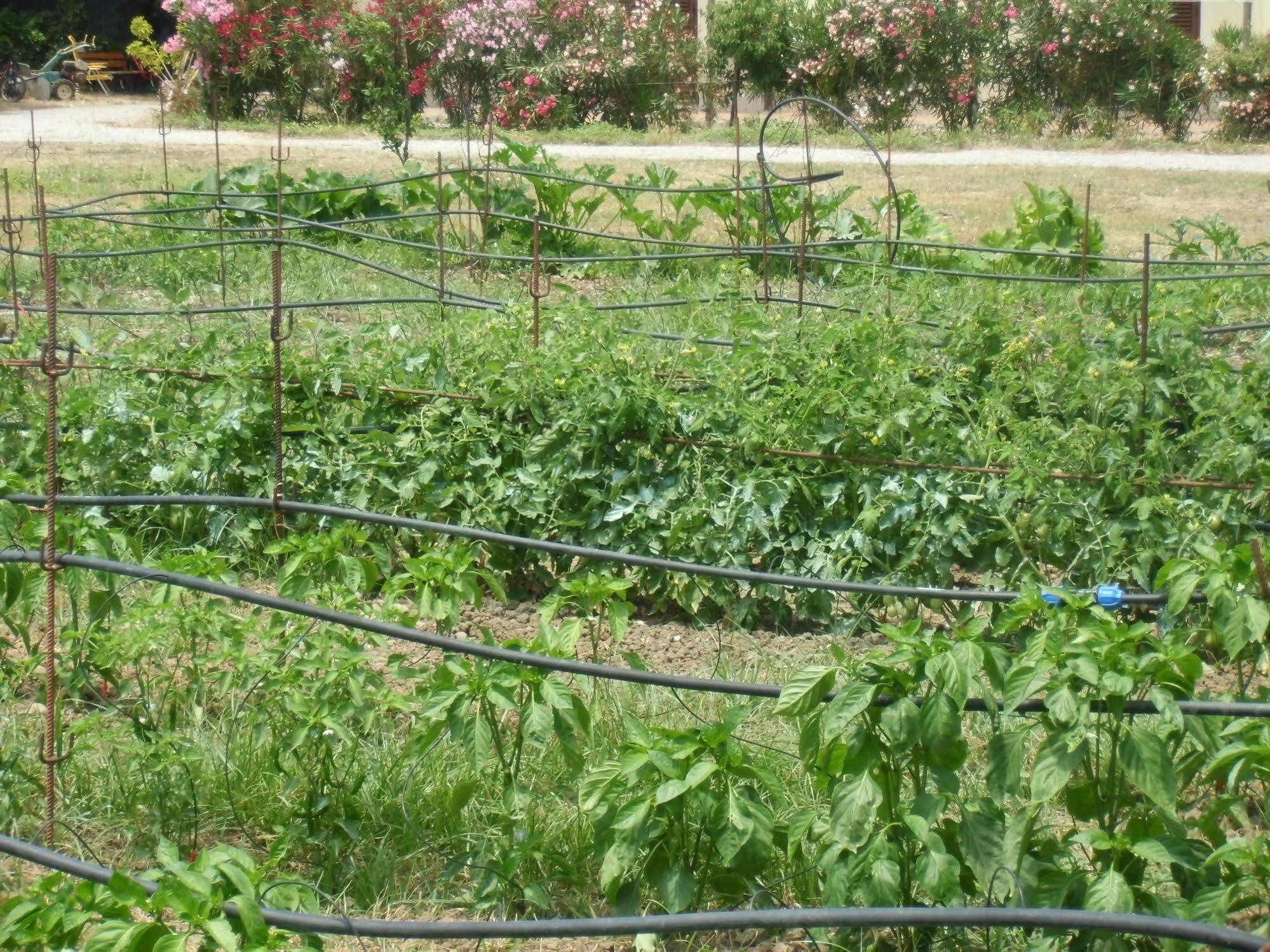 Stella Di Sicilia Villa San Fratello Ngoại thất bức ảnh
